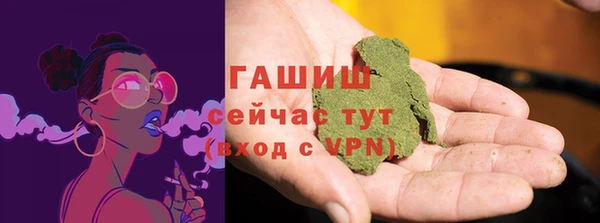 крисы Алзамай
