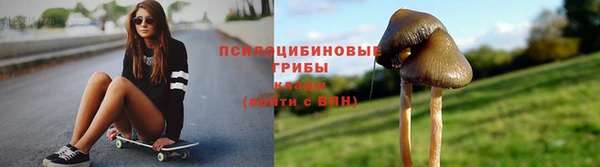 крисы Алзамай