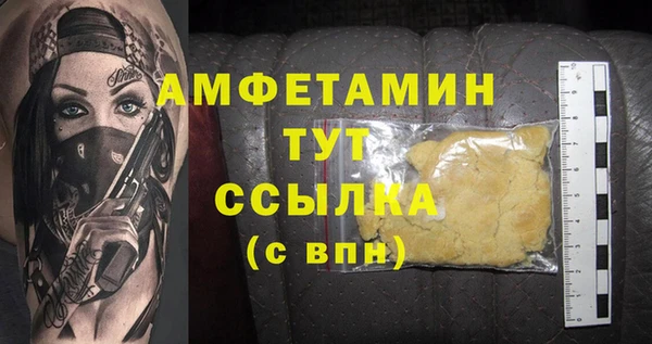 крисы Алзамай